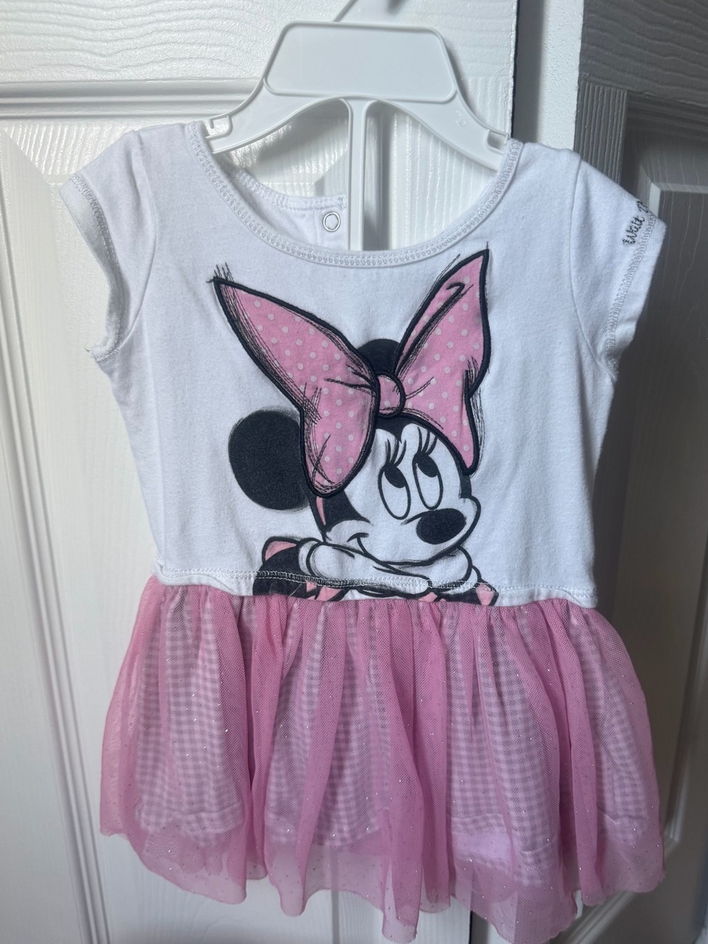 Disney White Bodice with Pink Tulle Skirt